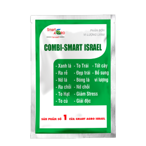 combi-smart-israel