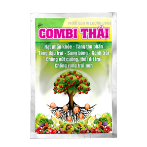 combi-thai